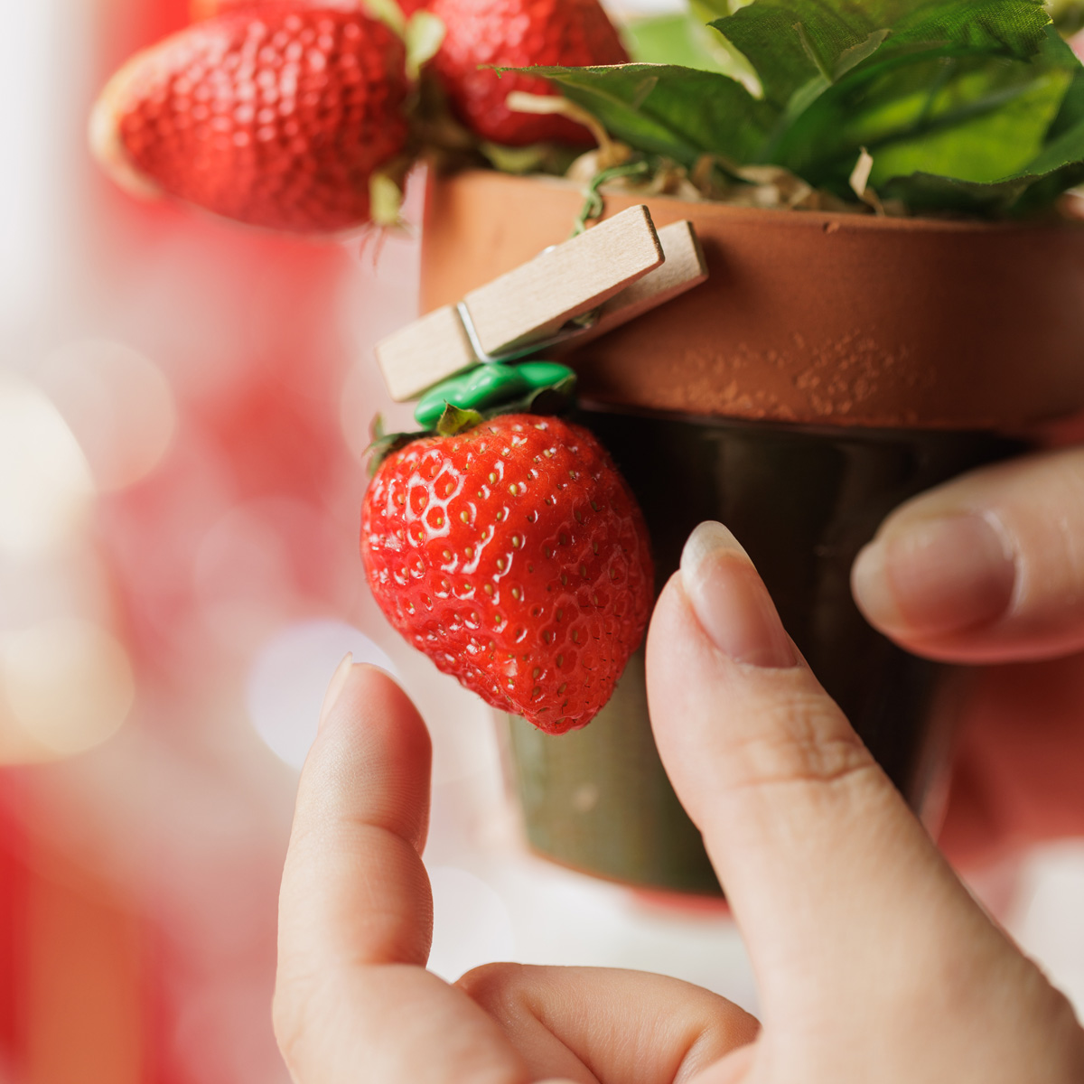 倉敷アフタヌーンティー